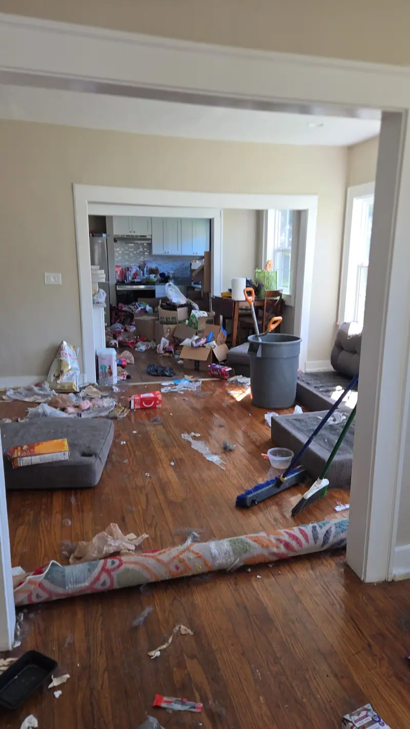 A living room full of trash and a rolled rug before a Racoons cleanout